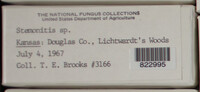 Image Associated With the Occurence